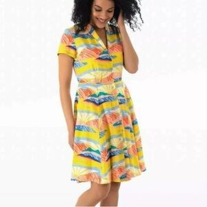 Emily and Fin Hailey Paintbox Valley Shirtdress ModCloth Midi Dress Fit & Flare